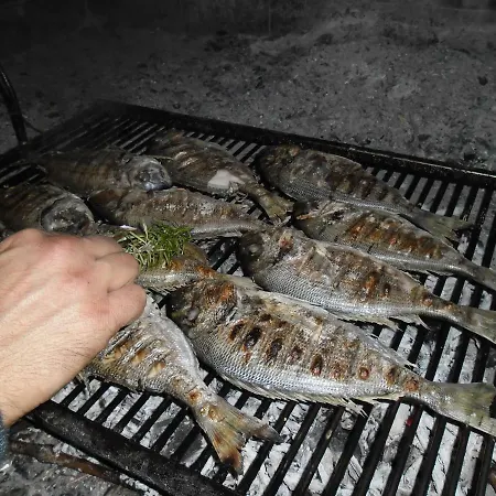 Sobin דירה